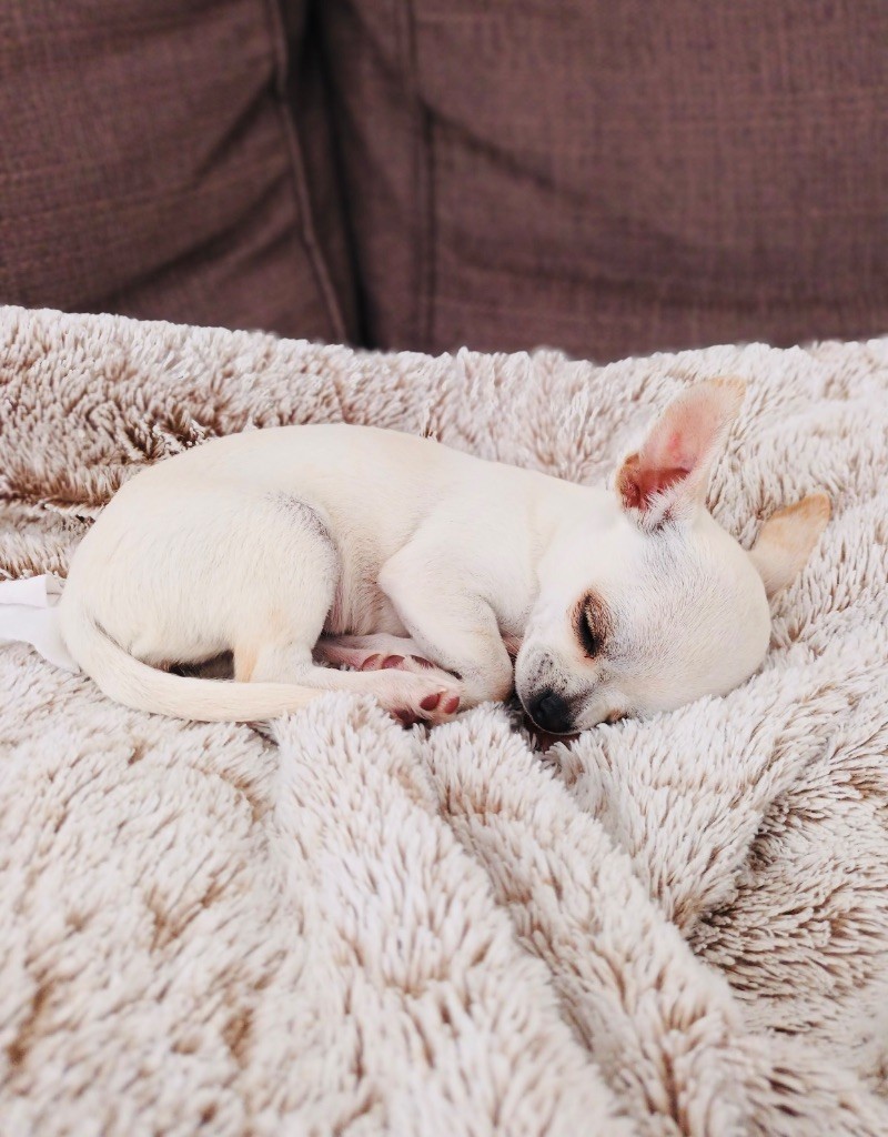 Album photos de nos grand bébés 