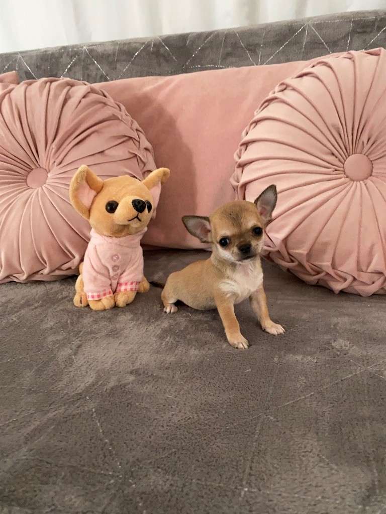 Album photos de nos tous petits 